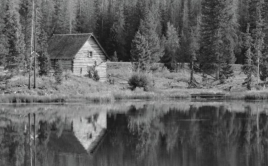 quiet reflection painting quiet reflection painting