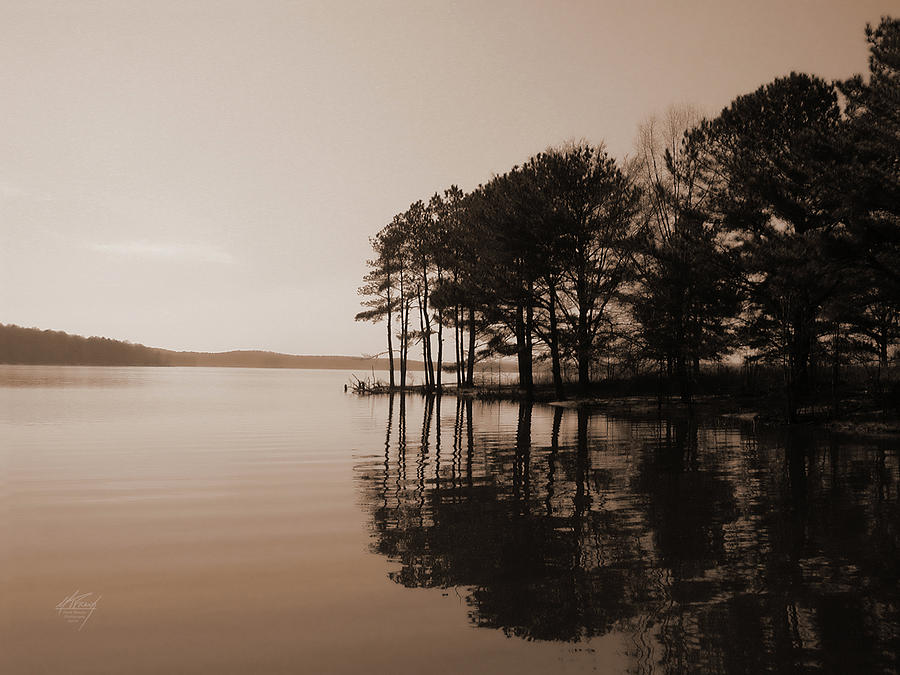 Quiet Reflection Photograph by Michael Frank
