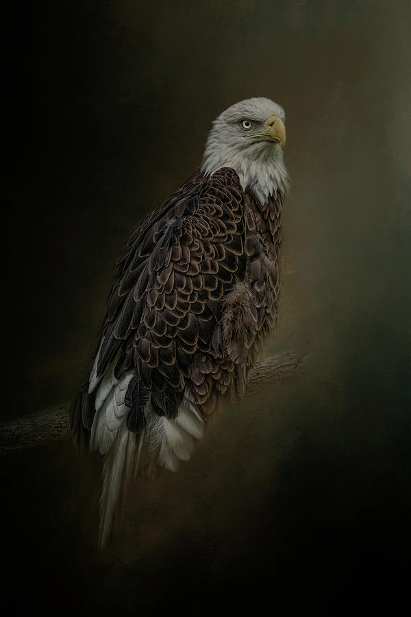 Quiet Strength by Kelley Parker Quiet Strength by Kelley Parker
