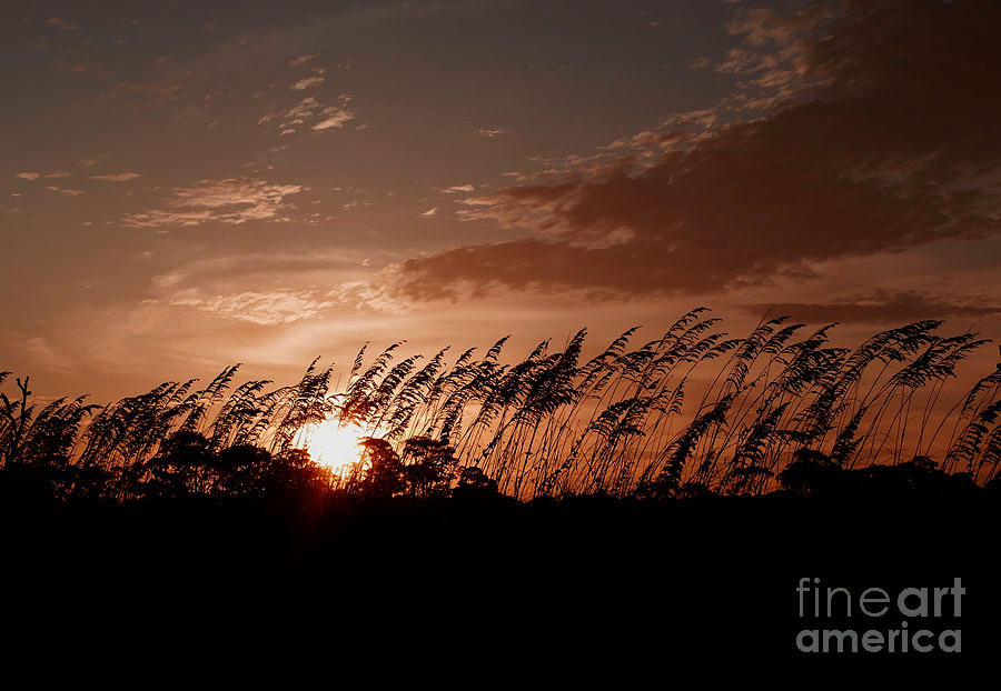 Quiet Sunset Photograph by Sandra Js