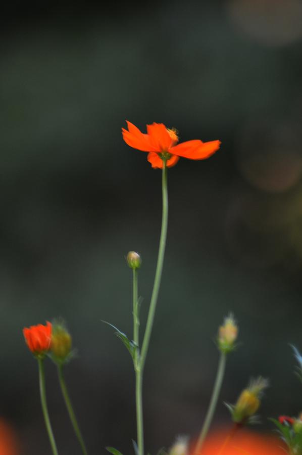 Quiet Time Photograph by Brenda Spencer - Fine Art America