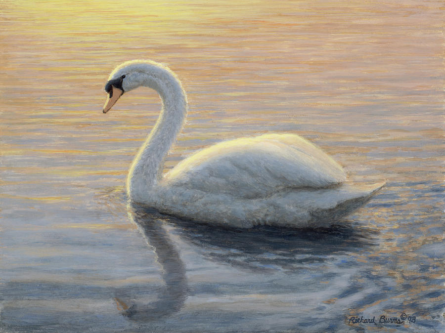 Bird Painting - Quiet Waters 2 by Richard Burns