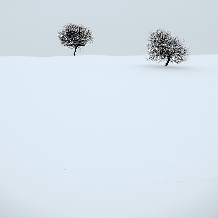 Winter Photograph - Quiet Winter by Renate Wasinger