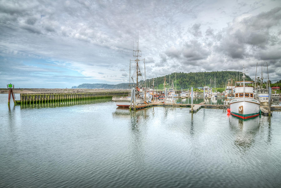 Quilieute Marina Photograph by Spencer McDonald