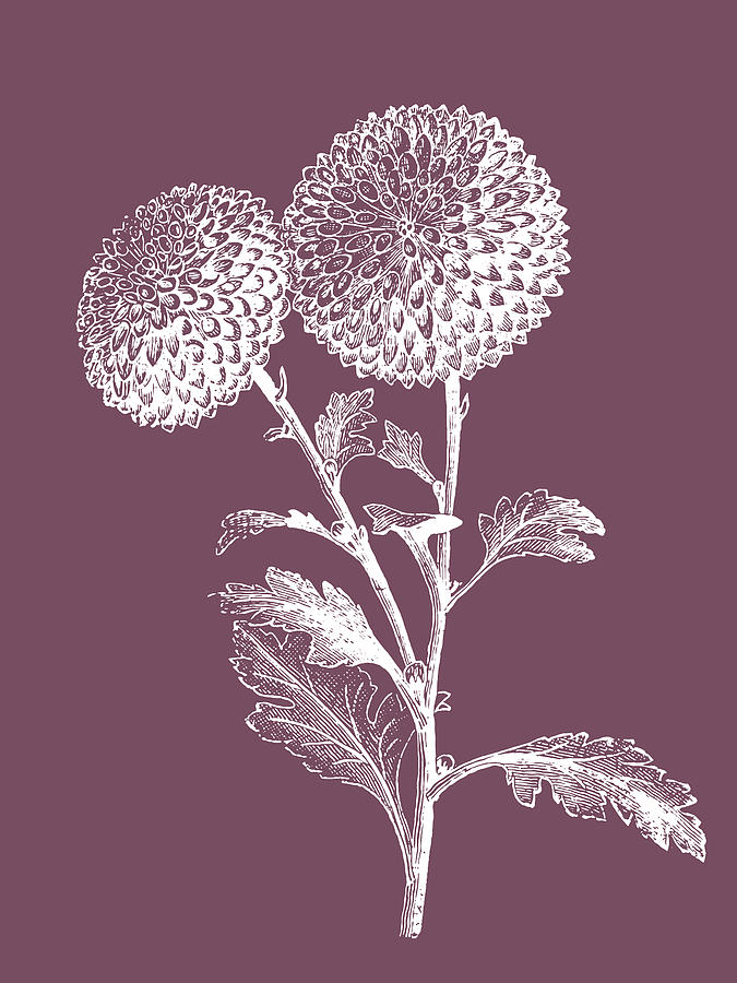 Flower Mixed Media - Quilled Pompone Purple Flower by Naxart Studio