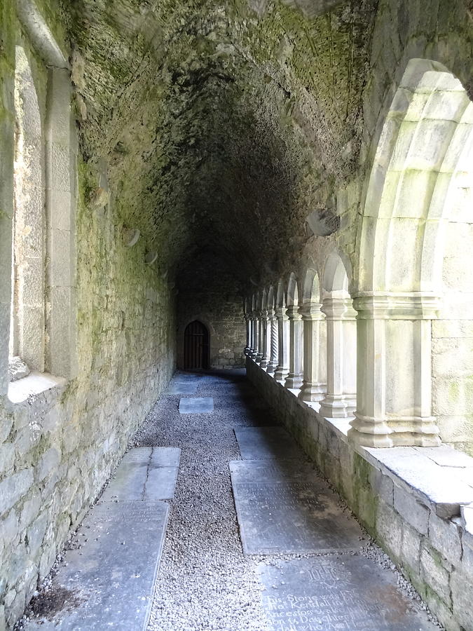 Quin Abbey Arched Walkway Photograph by Cassie Manahan - Fine Art America