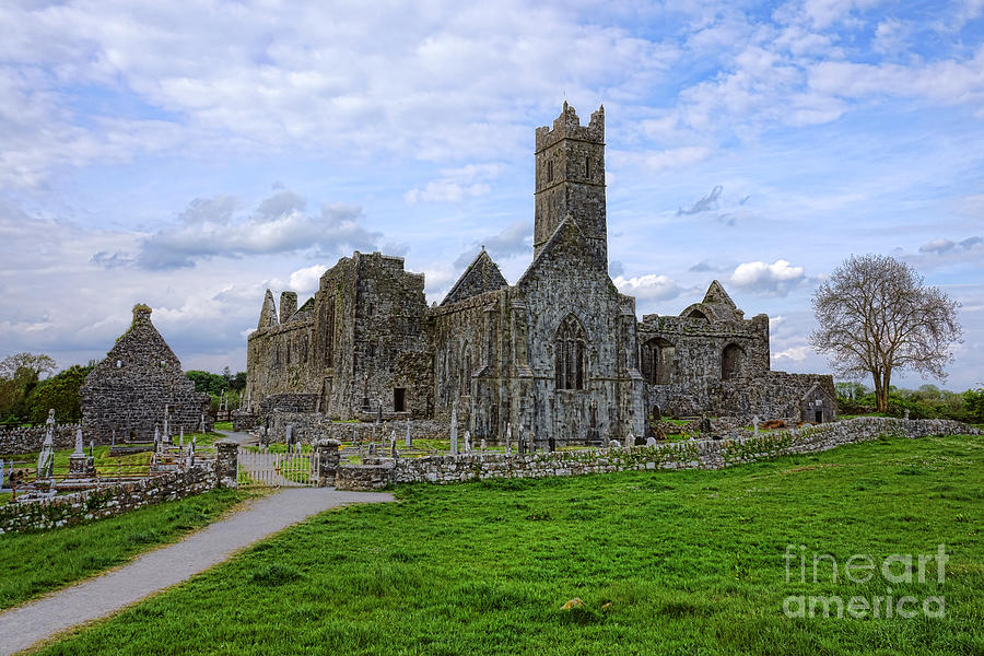 Quin Abbey Photograph by Olivier Le Queinec