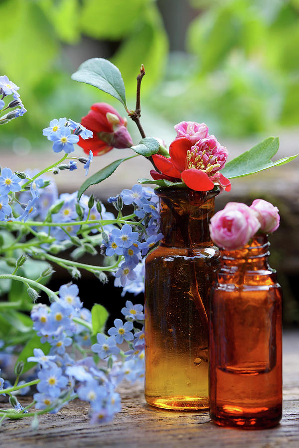 Quince Blossom And Peach Blossom In Brown Glass Bottles Next To Forget-me-nots Photograph by Angelica Linnhoff