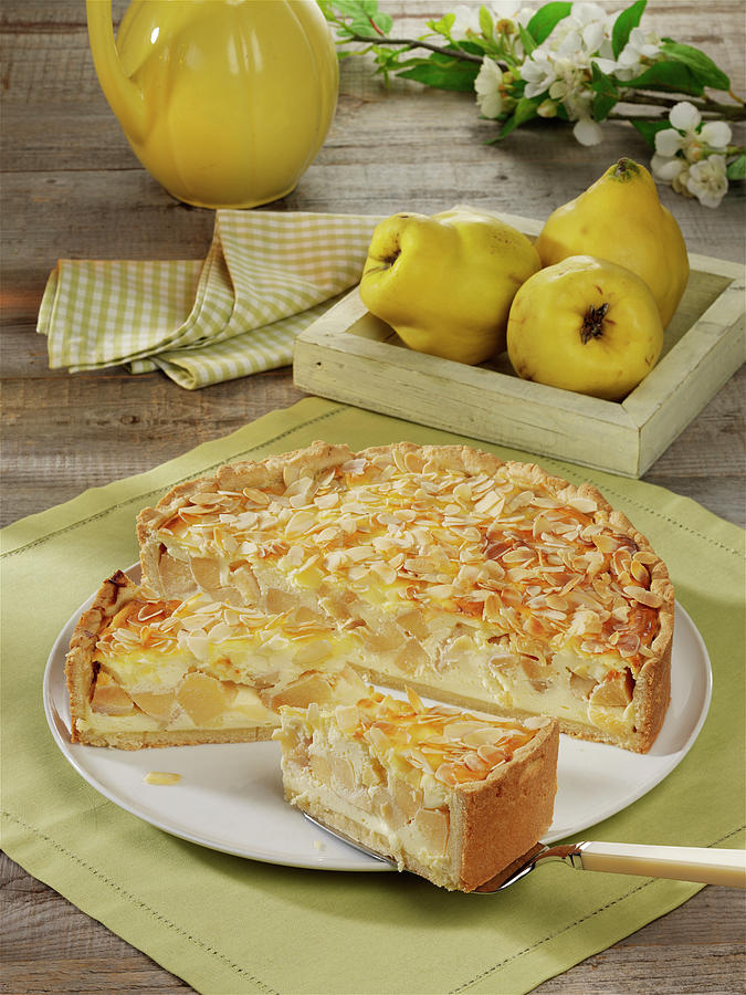 Quince Cheesecake With Almond Crust Photograph by Stockfood Studios / Photoart
