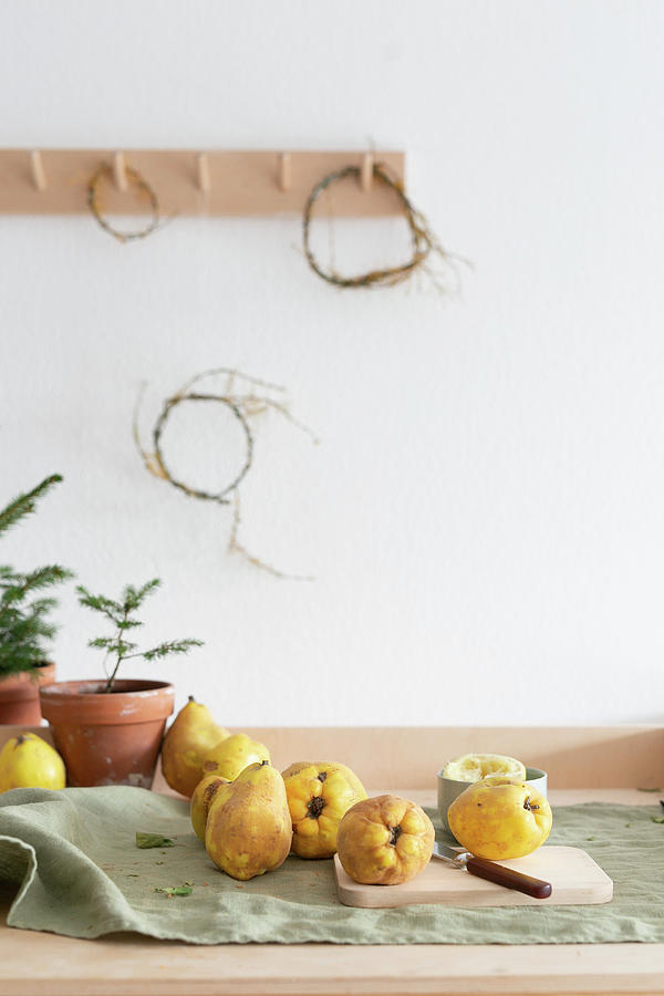 Quinces And Fir Trees On A Table Photograph by Syl Loves
