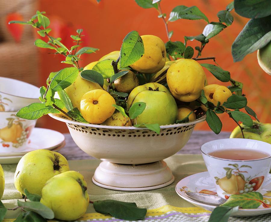 Quinces In A Beige Metal Bowl Photograph by Strauss, Friedrich