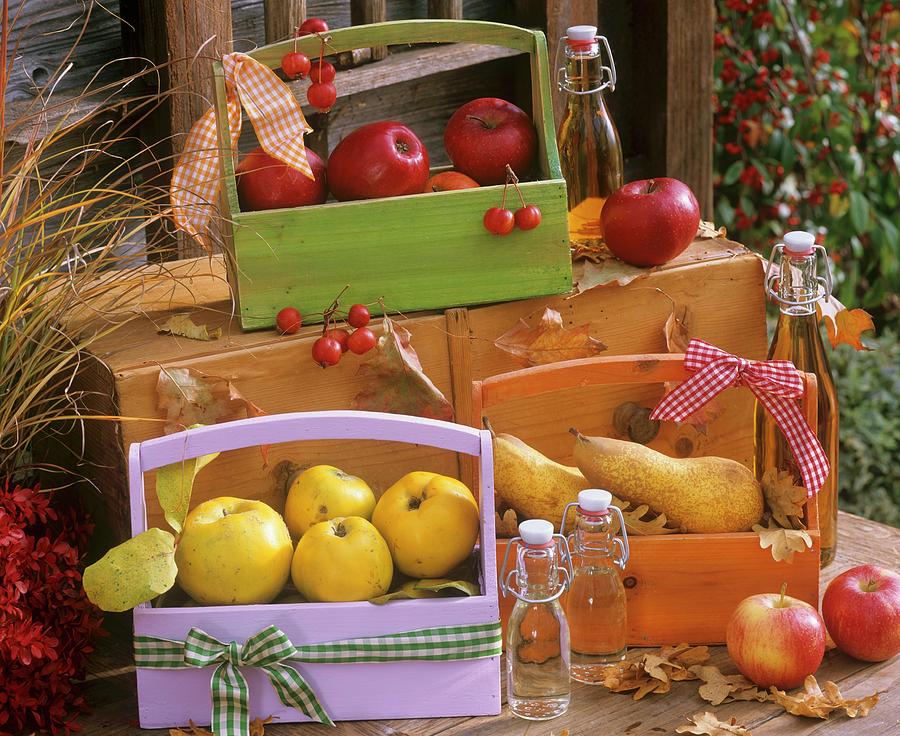 Quinces, Pears & Apples In Wooden Carriers, Juice In Bottles Photograph by Strauss, Friedrich