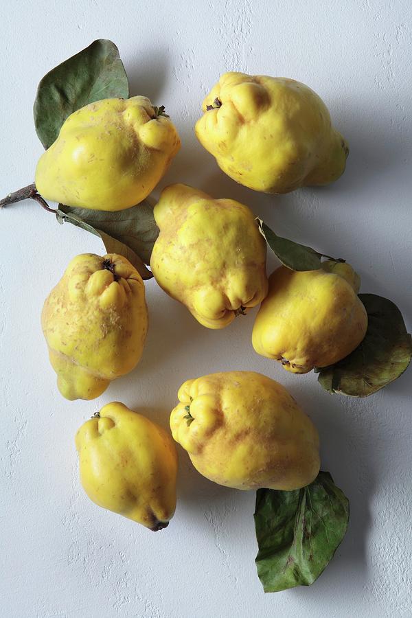 Quinces With Leaves Photograph by Peter Garten