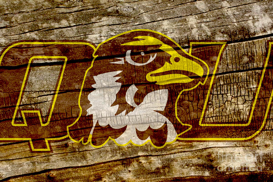 Quincy University Hawks Digital Art by Steven Parker