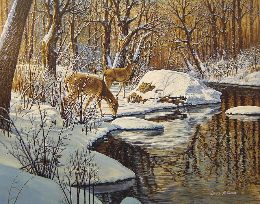 Quinnipiac River White Tails Painting by Bruce Dumas
