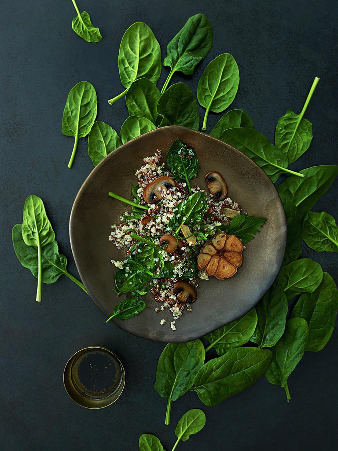 Quinoa Salad With Spinach, Mushrooms And Vinaigrette Photograph by Aina C. Hole
