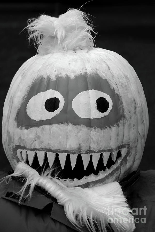 Quirky Pumpkin Head - Bw Photograph