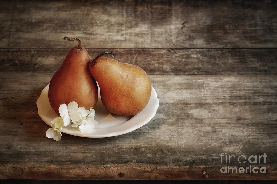 Pear Photograph - Quite A Pear by Alison Sherrow I AgedPage Fine
