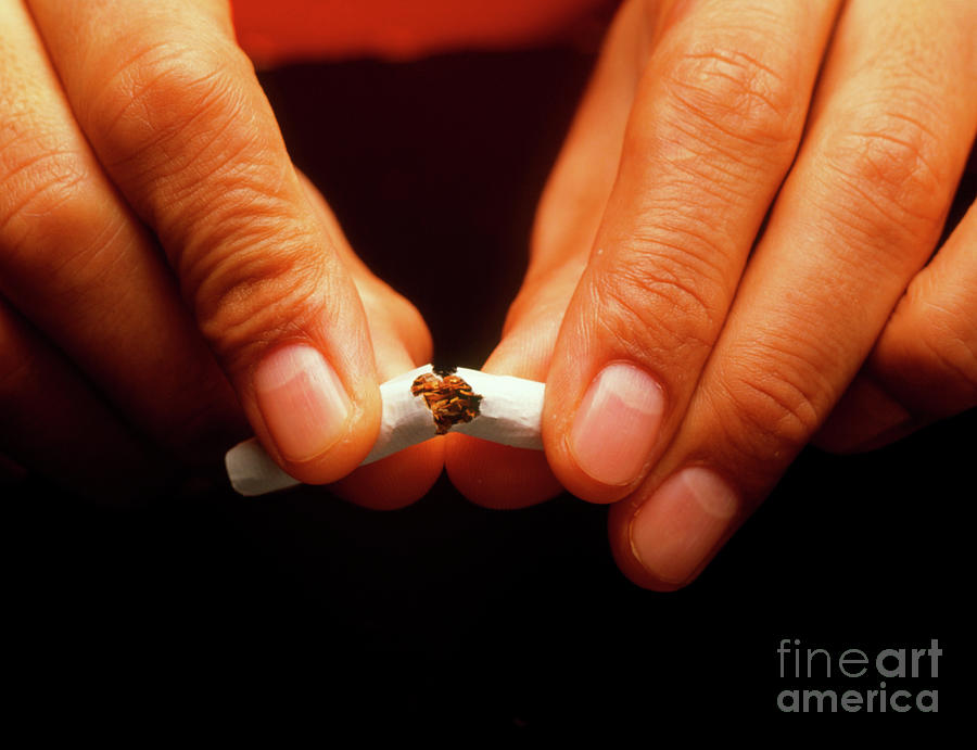 Quitting Smoking Photograph by Oscar Burriel/science Photo Library