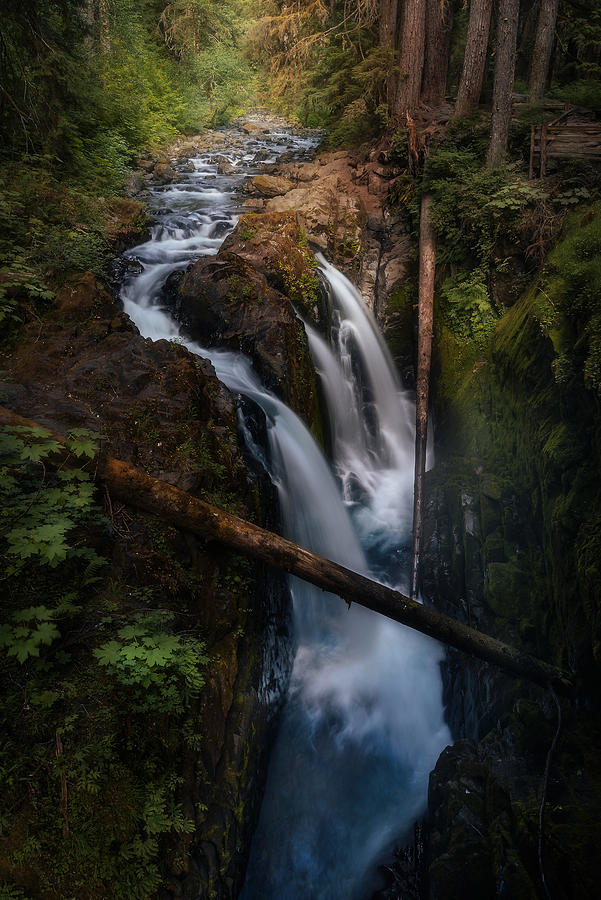 Olympic National Park Photograph - "nature Is The Purest Portal To Inner Peace." by Sagarika Roy