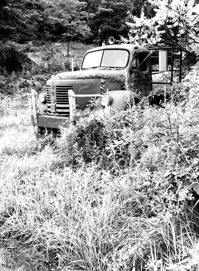 Transportation Photograph - R E O Gold Comet Retired by Mary Beth Landis