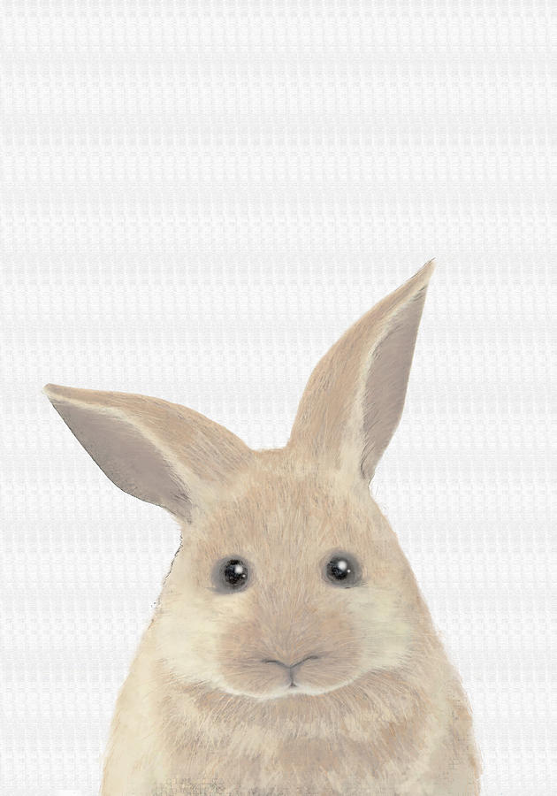 Animal Photograph - Rabbit by 1x Studio Ii
