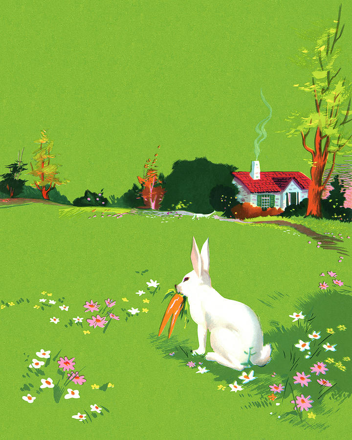 Carrot Drawing - Rabbit Eating a Carrot on the Grass by CSA Images