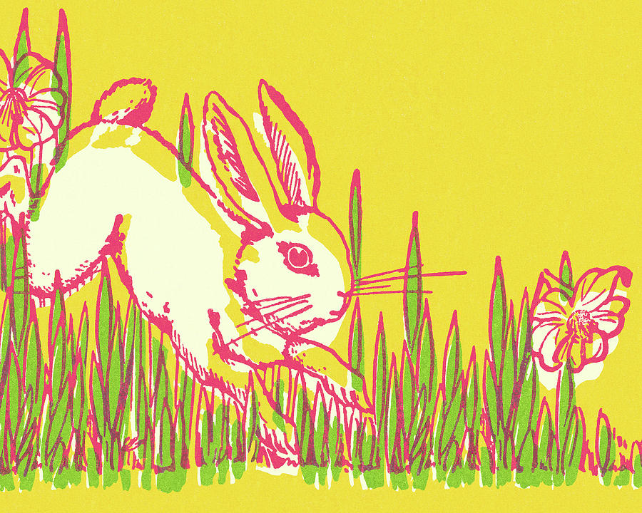 Spring Drawing - Rabbit Hopping in the Grass by CSA Images