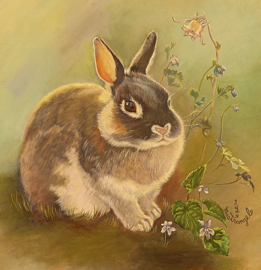 Animal Digital Art - Rabbit In Columbine by Judy Mastrangelo