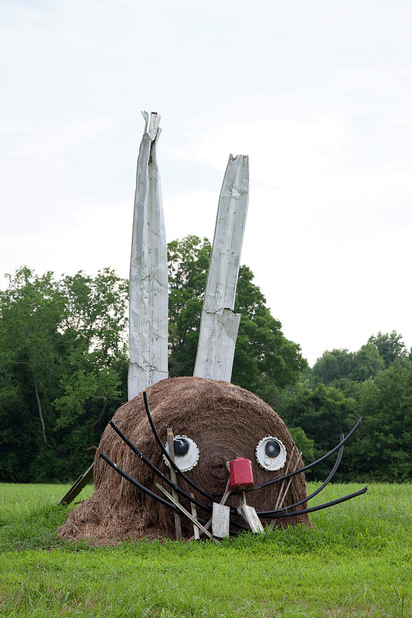 Rabbit made from a Hay bale Painting by Carol Highsmith Rabbit made from a Hay bale Painting by Carol Highsmith