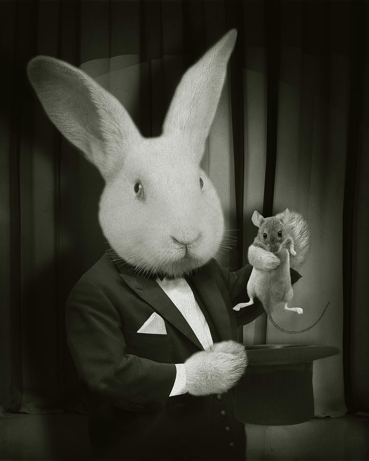 Rabbit Magician Bw Painting By J Hovenstine Studios
