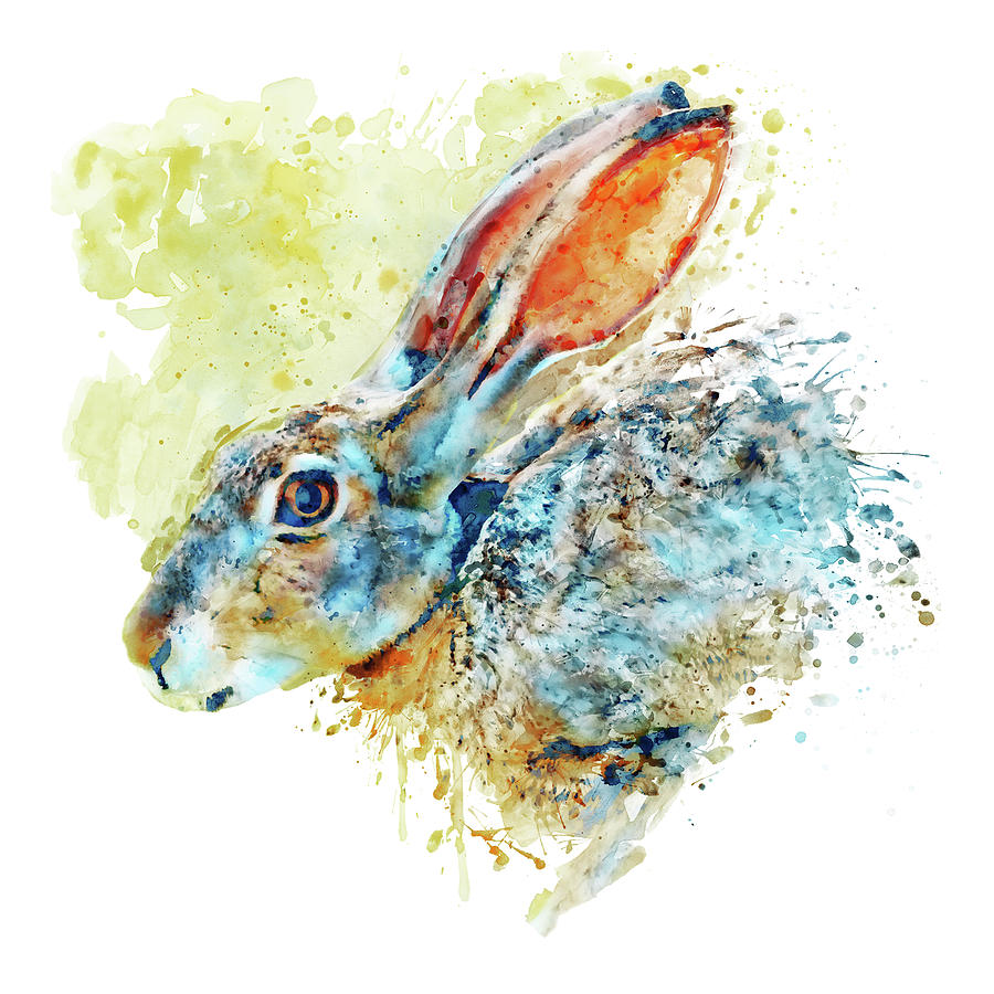 Bunny profile picture