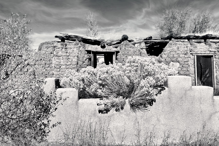 Rabbitbrush and Adobe Ruins in Sepia Photograph by Kathleen Bishop