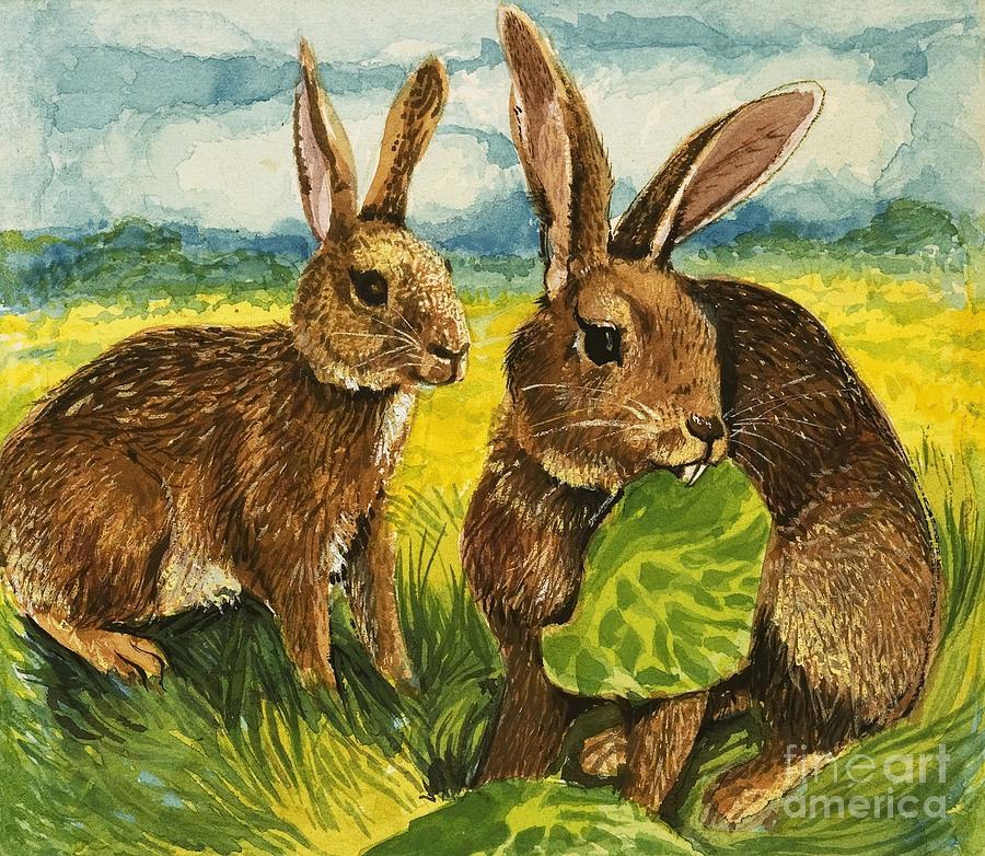 Rabbits Eating Painting by English School