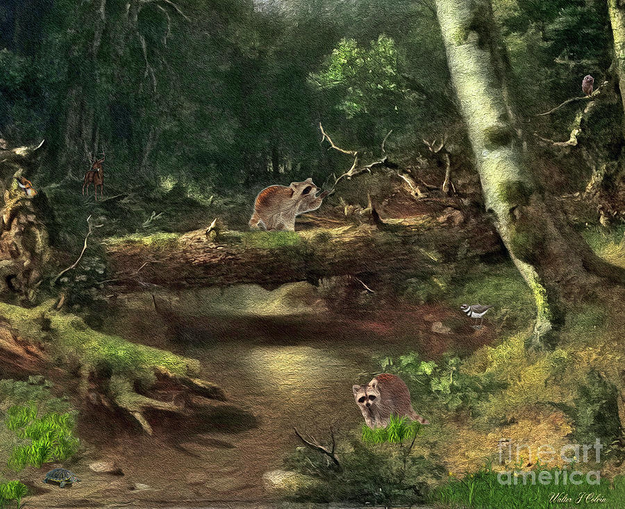 Raccoon Creek Digital Art by Walter Colvin