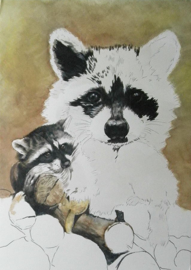 Raccoon day 3 by Barbara Keith Raccoon day 3 by Barbara Keith