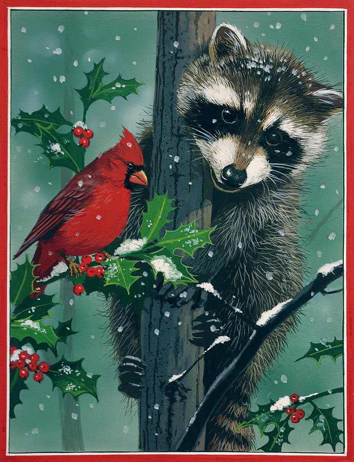 Christmas Painting - Raccoon by William Vanderdasson
