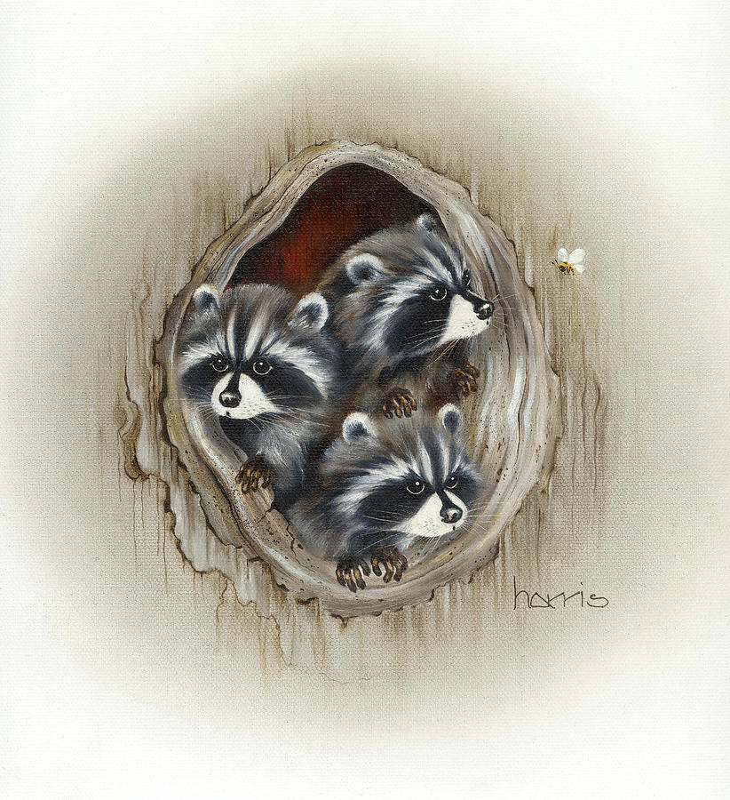 Raccoons In Hole Painting by Peggy Harris