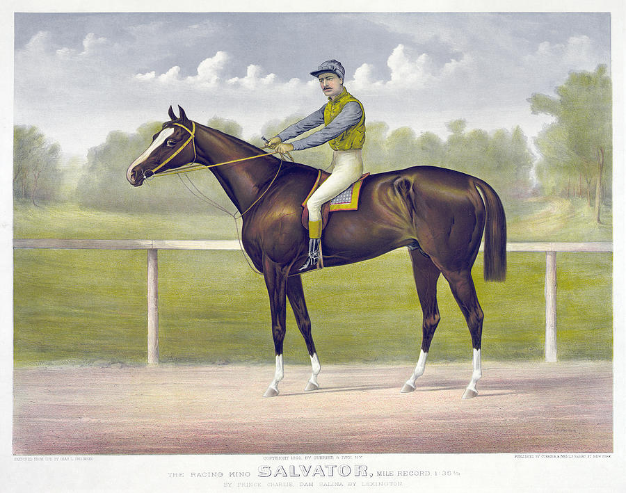 Race Horse, C1891 Drawing by Granger