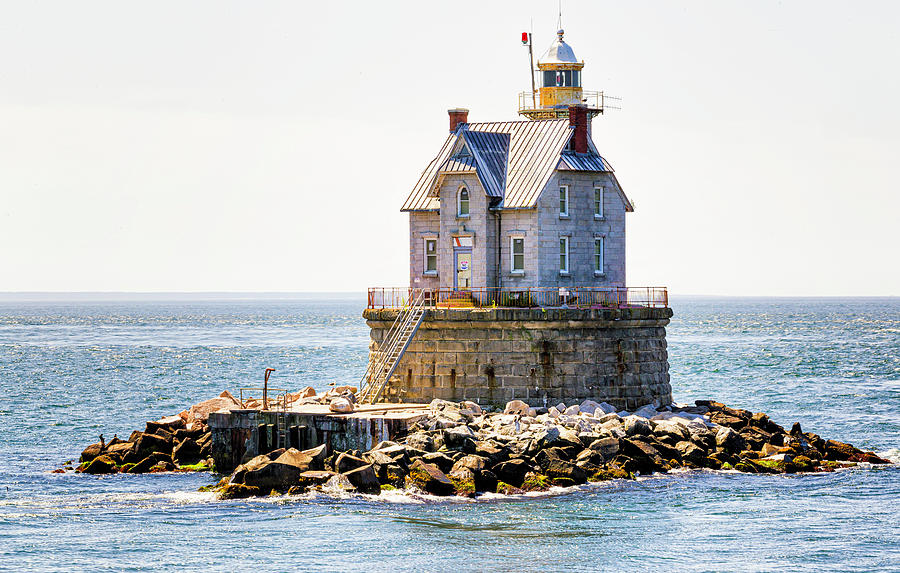 the lighthouse fran dorricott