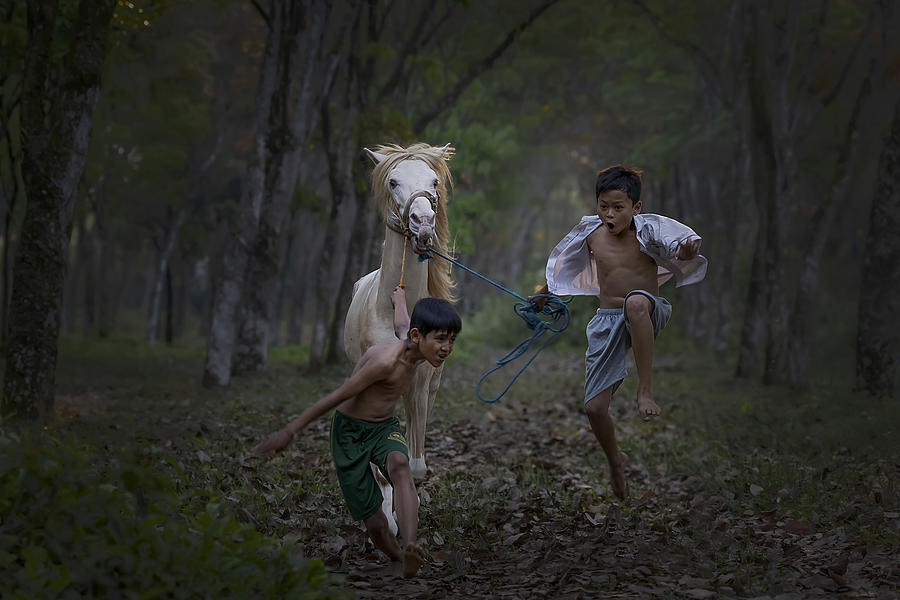 Mood Photograph - Race With Horse by Lisdiyanto Suhardjo