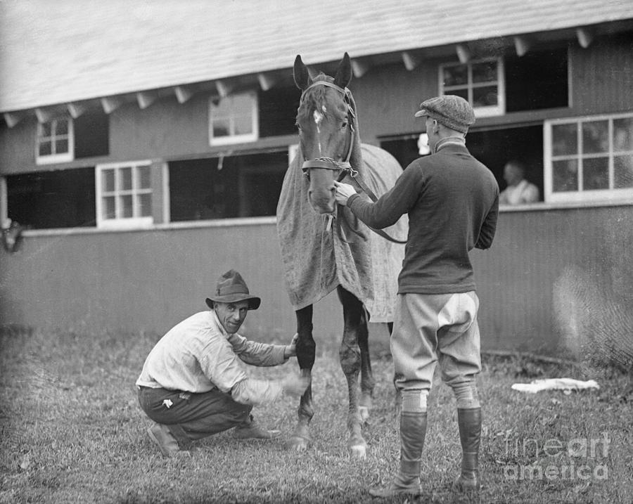 Racehorse Man O War Being Conditioned Photograph by Bettmann