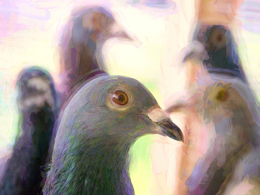 Racing Pigeons Group Impasto Photograph by Don Northup