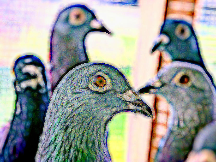 Racing Pigeons Group Kaleidoscope Photograph by Don Northup