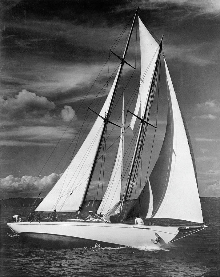 Racing Sailboat 1957 Photograph by Keystone-france