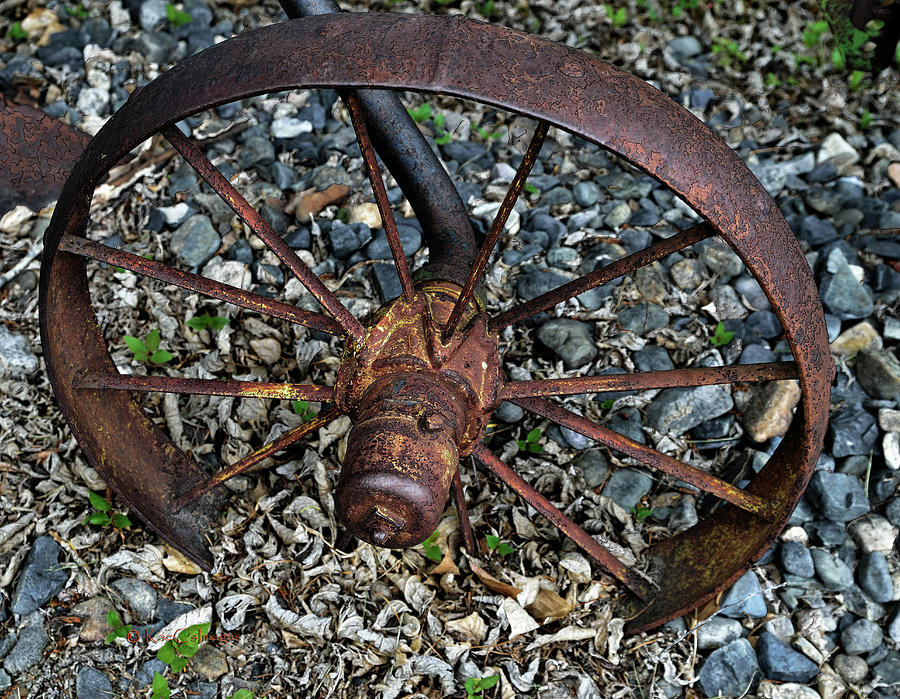 Tractor Wheel Planted by Kae Cheatham Tractor Wheel Planted by Kae Cheatham