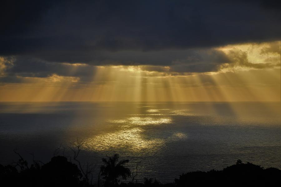 Radiant Golden Sunrise Photograph by Heidi Fickinger