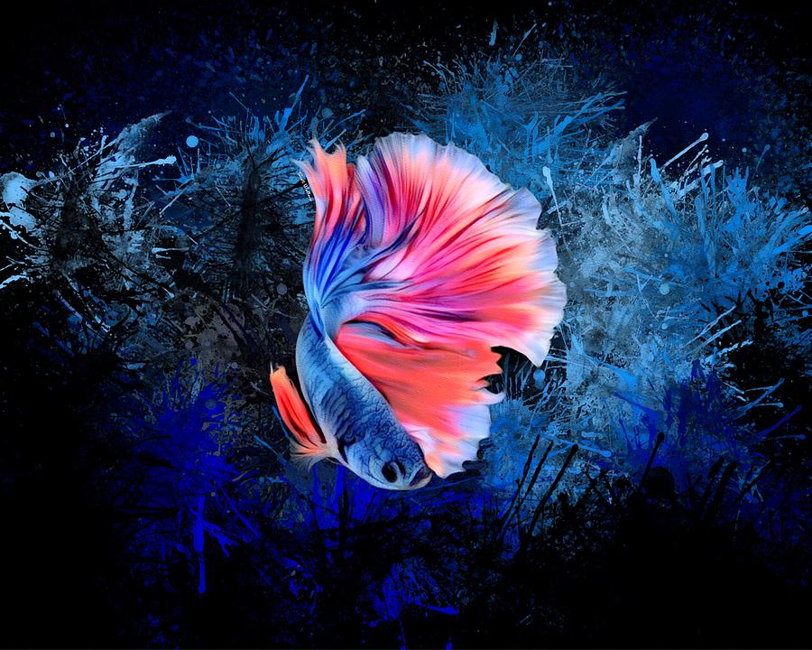 Radiant Sapphire Betta Fish Digital Art by Scott Wallace Digital Designs