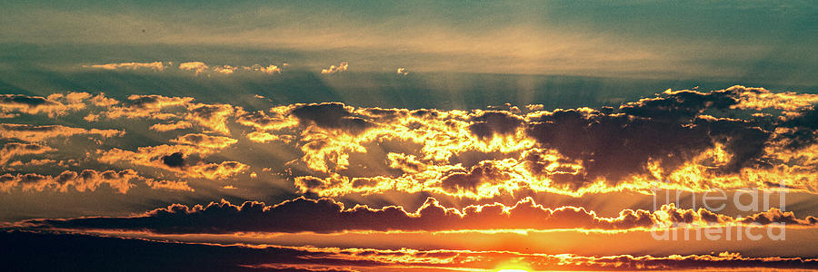 Radiant sunrise Photograph by Casper Cammeraat