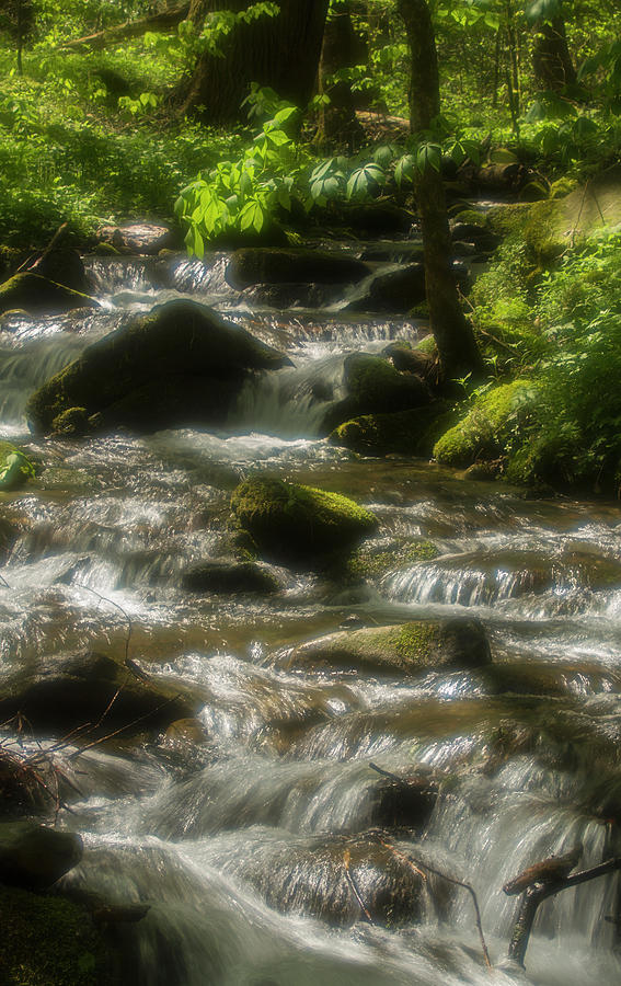 Nature Photograph - Radiant Water, Smokies by Jerry Whaley